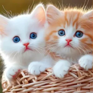 My Realistic Kitten Robot